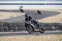 3 to 06-02-2024 Andalucia - Photos by Peter Wileman